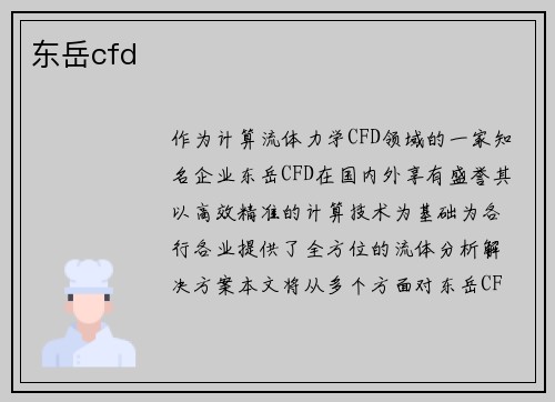 东岳cfd